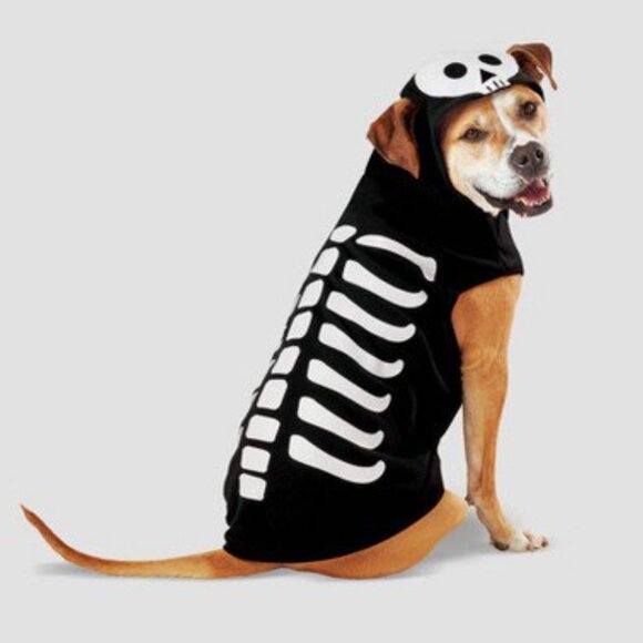 HIDE and EEK Dog glow in the dark black and white skeleton costume size XS, M - Picture 1 of 6